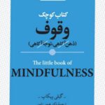 خرید کتاب کوچک وقوف اثر گیلی پیکاپ ترجمه دکتر هومن نامور نشر روانشناسان و هنر