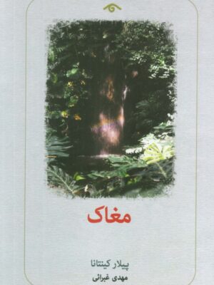 خرید کتاب مغاک اثر پیلار کینتانا ترجمه مهدی غبرائی نشر دیدآور