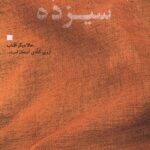 خرید کتاب پنجاه و چهار سیزده اثر مرتضی سبزقبا نشر شانی