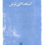 خرید کتاب آمیگدالای ترش اثر آذر بشیرزاده نشر عنوان
