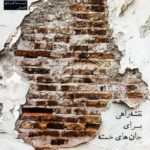 خرید کتاب فرسودگی اثر آنا کاتارینا شافنر نشر راه طلایی