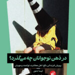 کتاب در ذهن نوجوانان چه می گذرد اثر لیسا دمور ترجمه بابک حافظی نشر ترجمان