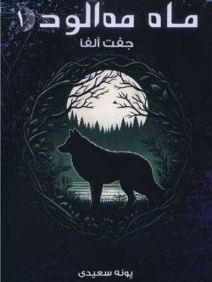 کتاب جفت آلفا جلد اول ماه مه آلود اثر پونه سعیدی نشر موج