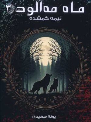 کتاب نیمه گمشده جلد سوم ماه مه آلود اثر پونه سعیدی نشر موج