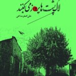 کتاب لاک پشت ها پرواز می کنند اثر علی اصغر مداحی نشر سوره مهر