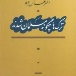 کتاب ترک ها چگونه مسلمان شدند اثر دکتر عباس جوادی نشر آیدین