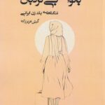 کتاب بانوی بی نردبان اثر گیتی عزیززاده نشر رادمهر