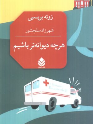 کتاب هر چه دیوانه تر باشیم اثر زوئه بریسبی نشر قطره