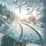 کتاب هیچ کس اینجا گم نمی شود اثر پرن ثابت نشر علی