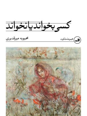 کتاب کسی بخواند یا نخواند اثر محبوبه میرقدیری نشر ثالث