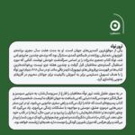 کتاب به سوی علفزار بلند اثر ترور نوآه نشر مون
