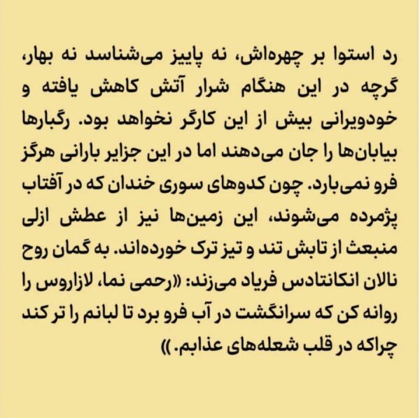 کتاب در قلب دریا (تراژدی اسکس کشتی نهنگ گیر) نشر ثالث - تصویر 3