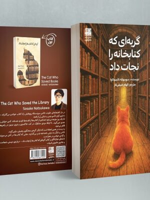 کتاب گربه ای که کتابخانه را نجات داد جلد دوم نشر دانش آفرین