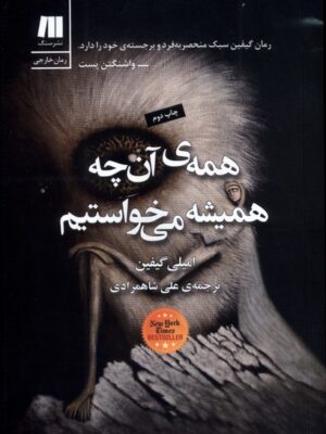 کتاب همه ی آن چه همیشه می خواستیم اثر امیلی گیفین نشر سنگ