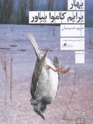 کتاب بهار برایم کاموا بیاور اثر مریم حسینیان نشر چشمه