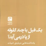 کتاب یک فیل با چند گلوله از پا در می آید اثر هادی خورشاهیان نشر قصه باران