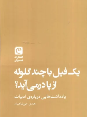 کتاب یک فیل با چند گلوله از پا در می آید اثر هادی خورشاهیان نشر قصه باران