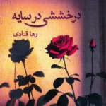 کتاب درخششی در سایه اثر رها قنادی نشر ابریشمی