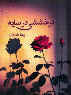 کتاب درخششی در سایه اثر رها قنادی نشر ابریشمی