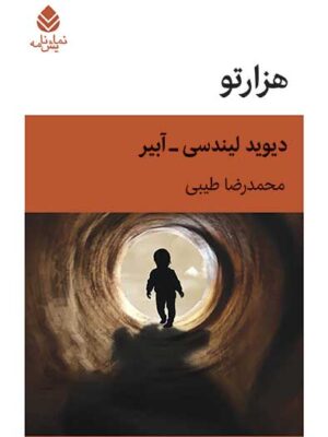 کتاب هزارتو اثر دیوید لیندسی نشر قطره