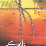 کتاب زانکو اثر نگین رستمی نشر سخن