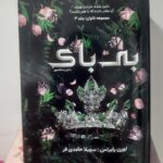 کتاب بی باک جلد سوم مجموعه ناتوان و بی پروا اثر لورن رابرتس (جلد معمولی شومیز)