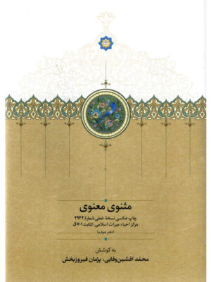 کتاب مثنوی معنوی به کوشش محمدامین وفایی و پژمان فیروزبخش نشر سخن
