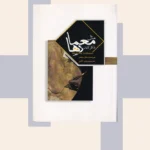 کتاب مثل معمارها فکر کنید اثر هال باکس نشر مارلیک