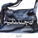 کتاب آن چند ثانیه (دفتر داستان) اثر محمد ولی زاده نشر بامداد نو