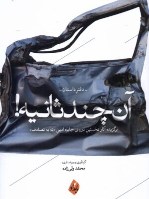 کتاب آن چند ثانیه (دفتر داستان) اثر محمد ولی زاده نشر بامداد نو