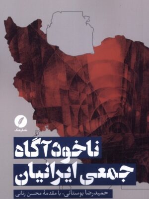 کتاب ناخودآگاه جمعی ایرانیان اثر حمیدرضا بوستانی نشر نقد فرهنگ