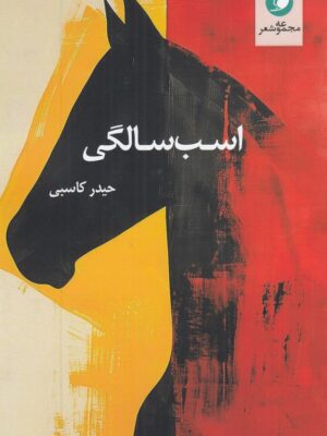 خرید کتاب اسب سالگی اثر حیدر کاسبی نشر واج