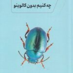 خرید کتاب چه کنیم بدون کالوینو - ضیا جبیلی | نشر نونوشت