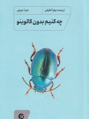 خرید کتاب چه کنیم بدون کالوینو - ضیا جبیلی | نشر نونوشت