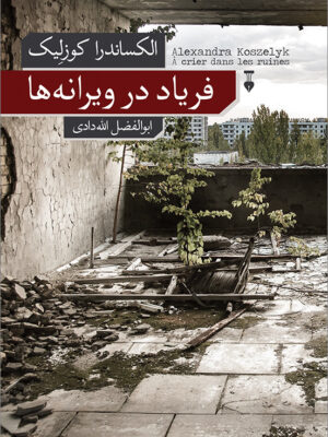 کتاب فریاد در ویرانه ها اثر الکساندرا کوزلیک نشر نو
