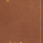 خرید کتاب همسفر - الهه عسکری | نشر مون