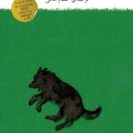کتاب بعد سگم بر می گردد پیشم اثر یون فوسه نشر چشمه