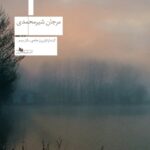 خرید کتاب گیلدا - مرجان شیرمحمدی | نشر چشمه