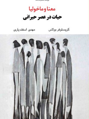 خرید کتاب معنا و ماخولیا حیات در عصر حیرانی - کریستوفر بولاس | نشر نگاه