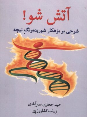 خرید کتاب آتش شو (شرحی بر بزهکار شوریده رنگ نیچه) نشر پرسش
