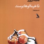 خرید کتاب تا خرمالوها برسند فاطمه فیروزی نشر چهل کلاغ