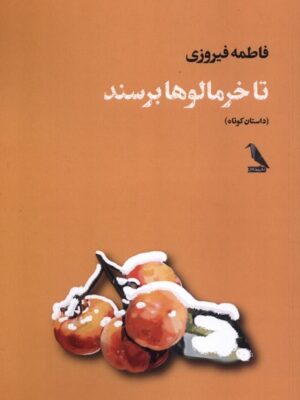 خرید کتاب تا خرمالوها برسند فاطمه فیروزی نشر چهل کلاغ