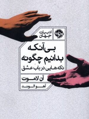 خرید کتاب بی آنکه بدانیم چگونه آن لاموت نشر خوب