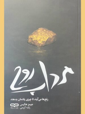 خرید کتاب مرداب روح - جیمز هالیس | یارنیک