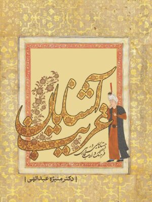 خرید کتاب آشنایان غریب - دکتر منیژه عبداللهی | نشر معین