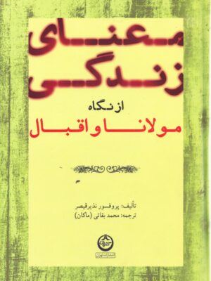 خرید کتاب معنای زندگی از نگاه مولانا و اقبال - پروفسور نذیر قیصر