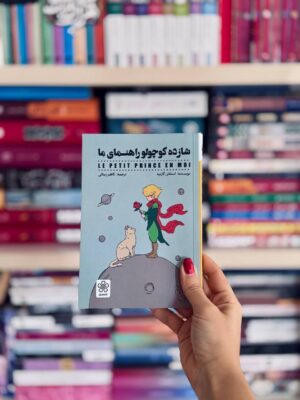 خرید کتاب شازده کوچولو راهنمای ما اثر استفان گارنیه نشر شمعدونی