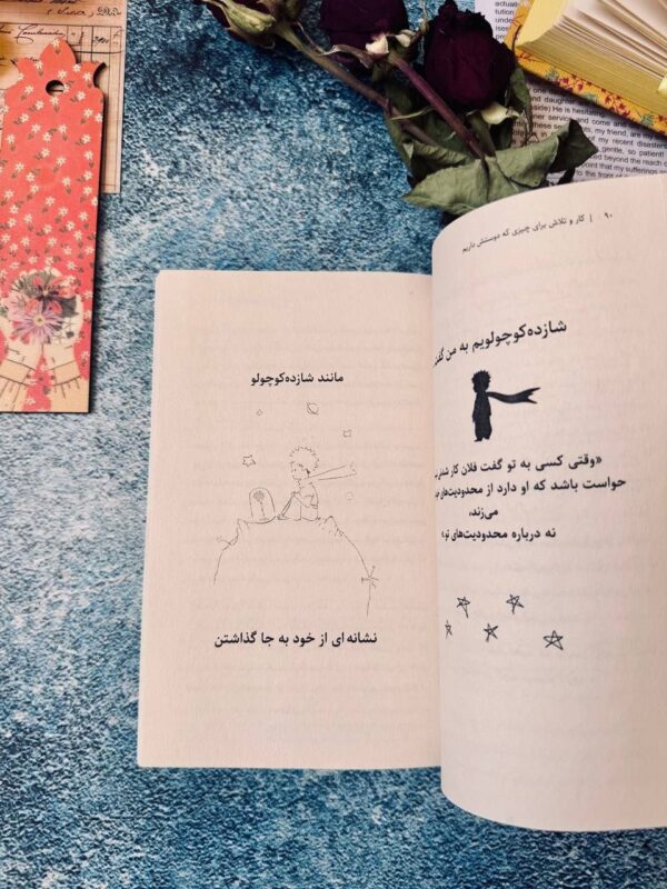 خرید کتاب شازده کوچولو راهنمای ما اثر استفان گارنیه نشر شمعدونی - تصویر 3