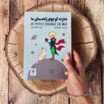خرید کتاب شازده کوچولو راهنمای ما اثر استفان گارنیه نشر شمعدونی