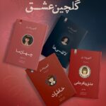 خرید کتاب مجموعه 4 جلدی گلچین عشق اثر لانگ لیو نشر اندیشه بیگی
